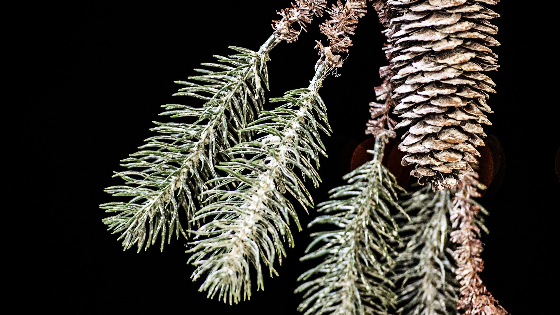 Weihnachten Oberbayern Tegernsee, © Florian Liebenstein