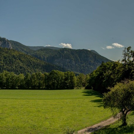 Ferienwohnung Fleischhackerhof - Ausblick vom Südbalkon Richtung Blauberge, © GERLIND SCHIELE PHOTOGRAPHY TEGERNSEE