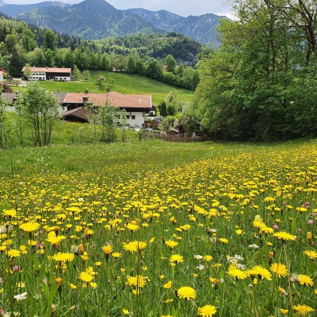 unser Haus im Frühling, © im-web.de/ Touristinformation Fischbachau