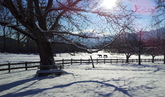 Garten im Winter, © im-web.de/ Tourist-Information Gmund am Tegernsee