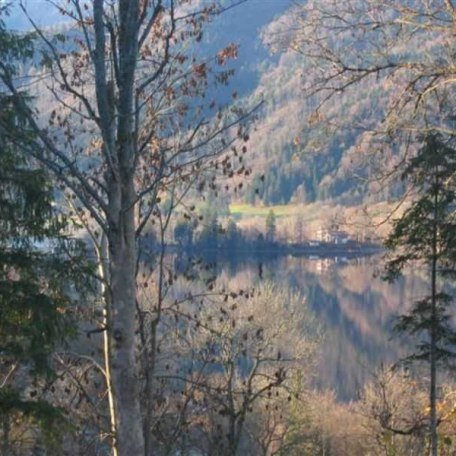 Blick zum See, © im-web.de/ Gäste-Information Schliersee in der vitalwelt schliersee