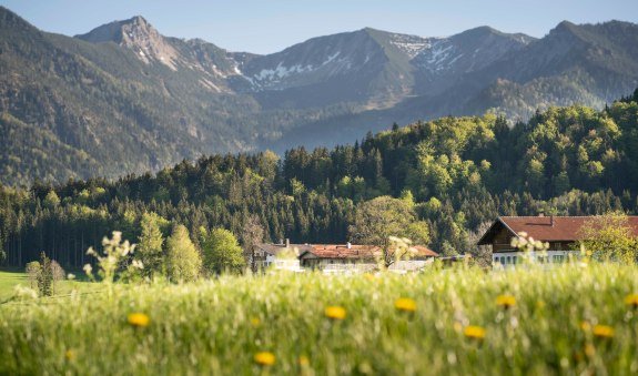 Blick auf Aiplspitz, © Alpenregion Tegernsee Schliersee