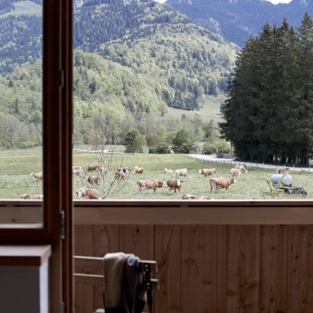 Der Schmiedhof Balkon, © Der Schmiedhof