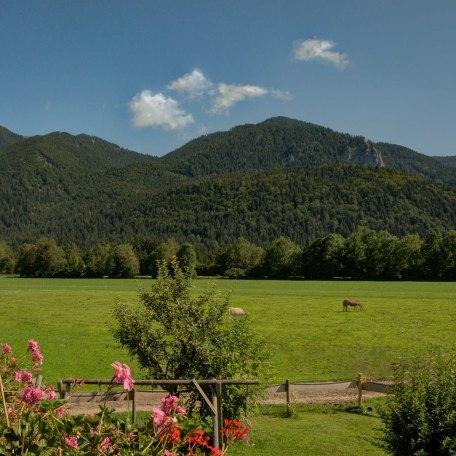 Ferienwohnung Fleischhackerhof - Ausblick vom Südbalkon, © GERLIND SCHIELE PHOTOGRAPHY TEGERNSEE