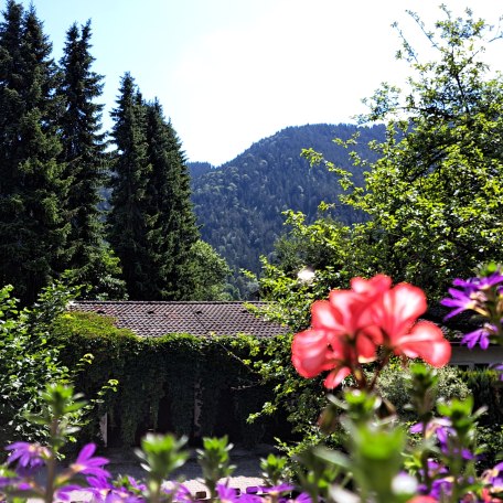 Blick vom Balkon, © im-web.de/ Tourist-Information Bayrischzell