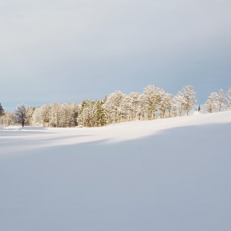 Biohof Oberlinner im Winter, © Biohof Oberlinner GbR