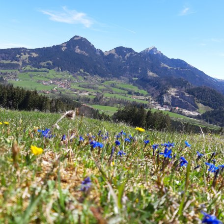 Breitenstein - Schweinsberg - Wendelstein, © im-web.de/ Touristinformation Fischbachau