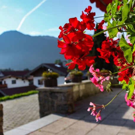 Ferienwohnungen Buchbergerhof in Rottach-Egern - Ausblick zum Wallberg, © Sara  März