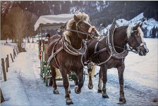 Kutschfahrt Winter