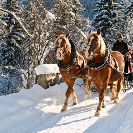 https://d1pgrp37iul3tg.cloudfront.net/objekt2_pics/obj_full_32185_003.jpg, © im-web.de/ Tourist-Information Rottach-Egern