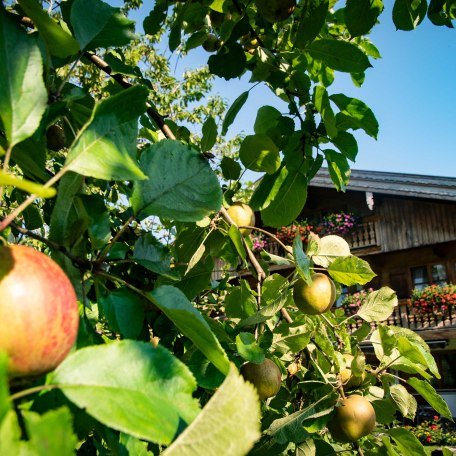 Garten, © im-web.de/ Regionalentwicklung Oberland Kommunalunternehmen