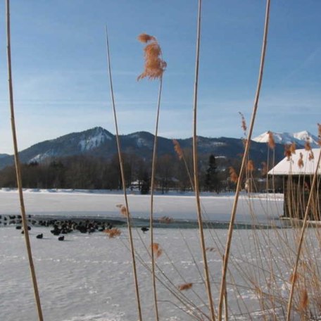 Eis am See, Blick zum Hirschberg, Süden, © im-web.de/ Tourist-Information Bad Wiessee