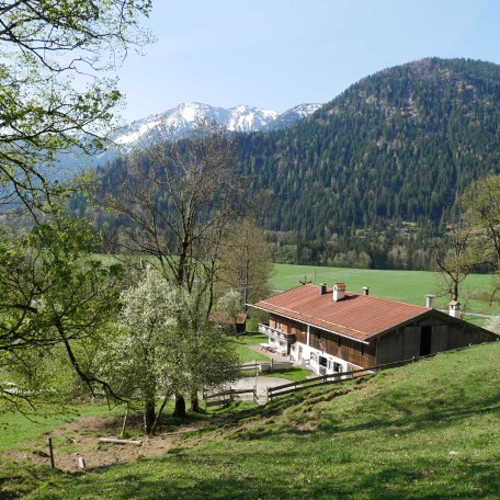 Natur soweit das Auge reicht!, © im-web.de/ Touristinformation Fischbachau