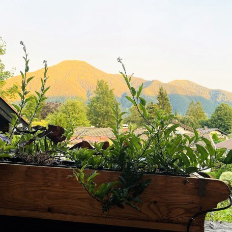 Blick auf den Wallberg, © im-web.de/ Tourist-Information Rottach-Egern