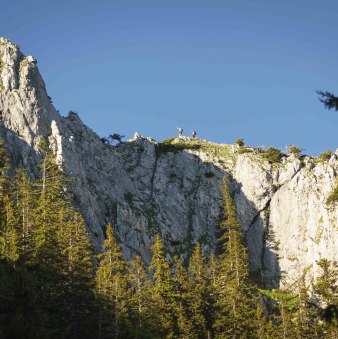 wandern-breitenstein-70