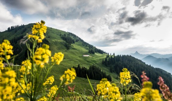 Blick zum Setzberg, © Der Tegernsee