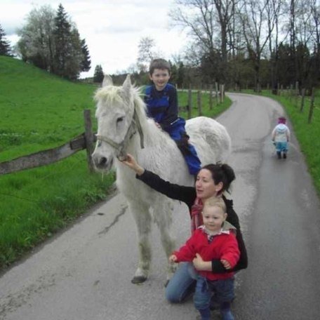 Hoftiere, © im-web.de/ Touristinformation Fischbachau