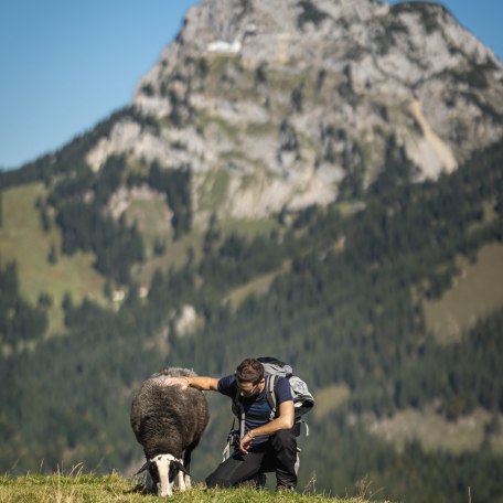 lowres-wandern-sudelfeld_dietmar-denger-44