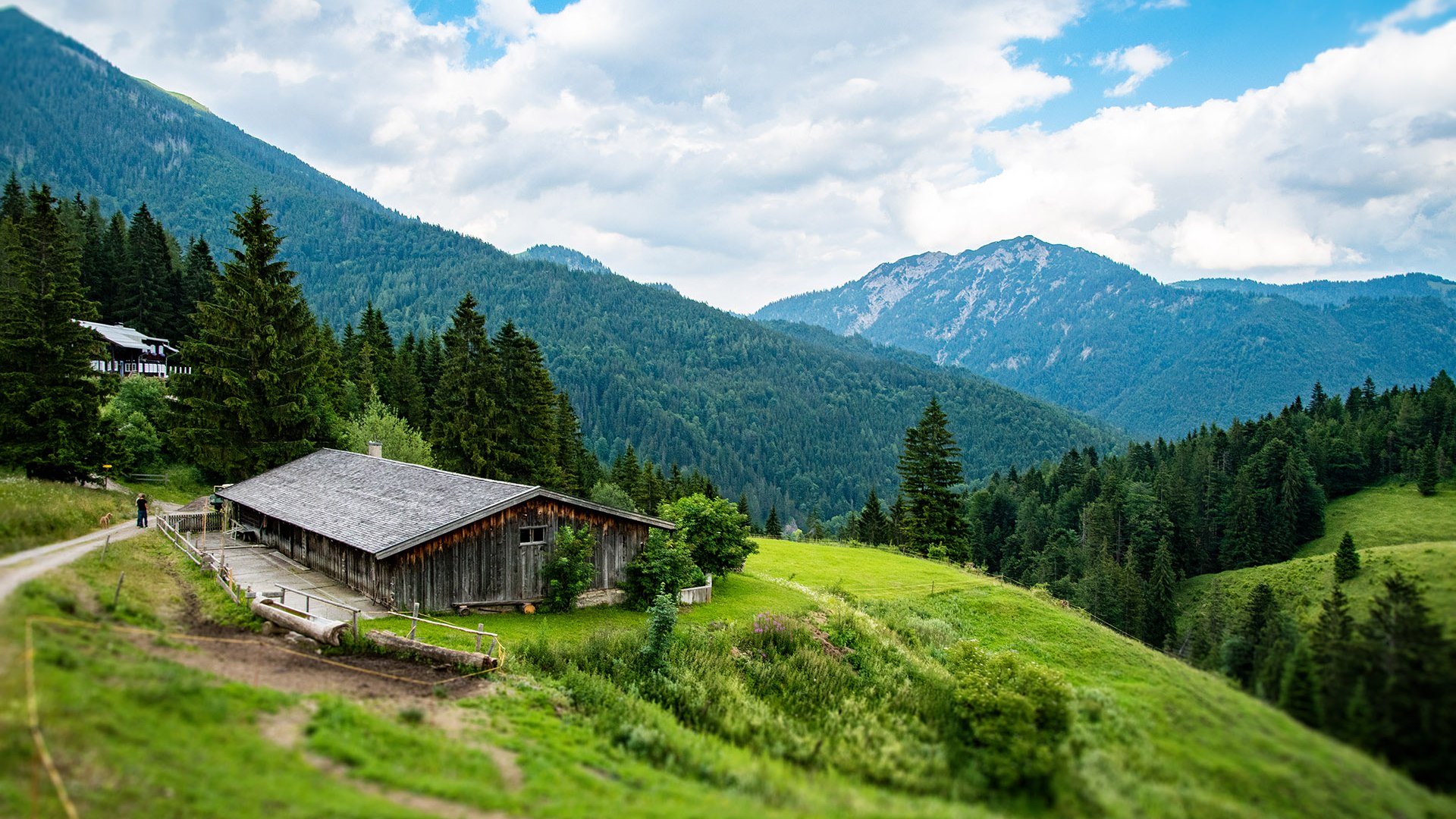 Alm Sillberghaus, © Florian Liebenstein