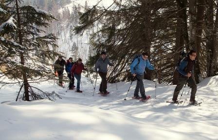 naturnahSchneeschuhwandeln.jpg