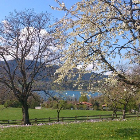 Ausblick Garten, © im-web.de/ Tourist-Information Gmund am Tegernsee