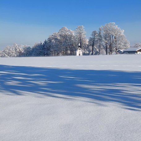 Biohof Oberlinner im Winter, © Biohof Oberlinner GbR