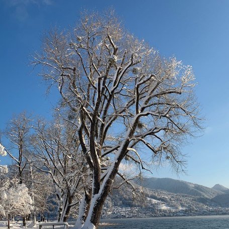 An der Seepromenade, nur 3 Minuten entfernt, © im-web.de/ Regionalentwicklung Oberland Kommunalunternehmen