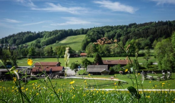 Freizeitanlage Oedberg, © Georg Reisberger