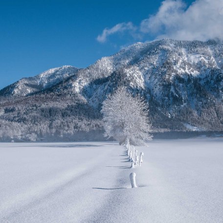 Ferienwohnungen Festlhof in Rottach-Egern am Tegernsee, © GERLIND SCHIELE PHOTOGRAPHY TEGERNSEE