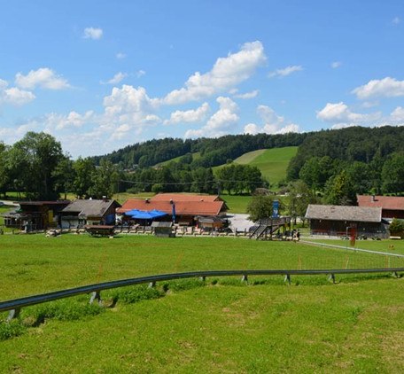 oedberg-wiese_gelaende