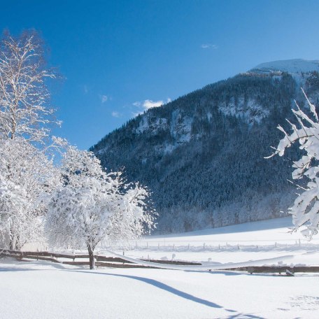 Ferienwohnungen Festlhof in Rottach-Egern am Tegernsee, © GERLIND SCHIELE PHOTOGRAPHY TEGERNSEE