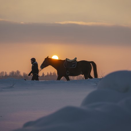 Reiten Winter Bayern, © Dietmar Denger