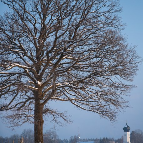 Blick zur Kirche in Piesenkam, © im-web.de/ Gemeinde Waakirchen-Schaftlach