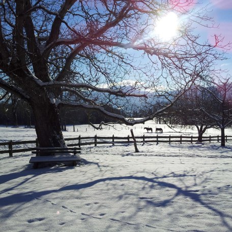 Garten im Winter, © im-web.de/ Tourist-Information Gmund am Tegernsee