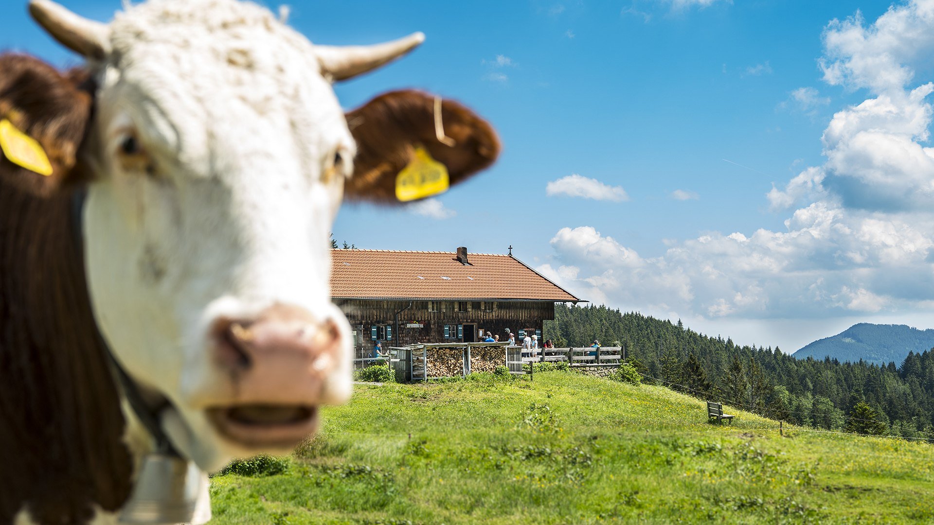 Almen rund um Tegernsee und Schliersee laden zur Rast ein, © Dietmar Denger