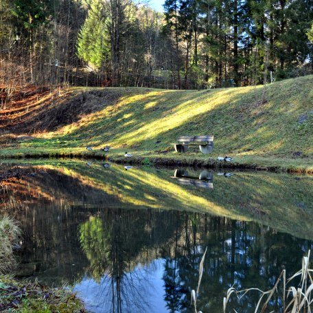 Teich, © im-web.de/ Gäste-Information Schliersee in der vitalwelt schliersee