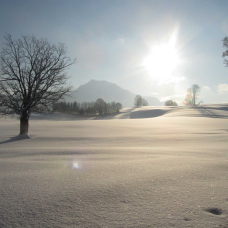 Ausblick, © im-web.de/ Touristinformation Fischbachau