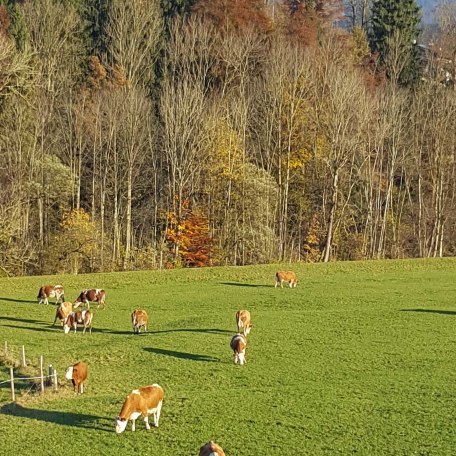 Ausblick, © im-web.de/ Touristinformation Fischbachau