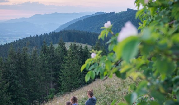 Am Schwarzenberg, © Alpenregion Tegernsee Schliersee