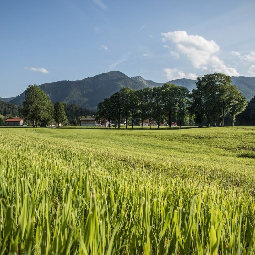 Kräuterdorf Fischbachau Bayern, © Florian Liebenstein