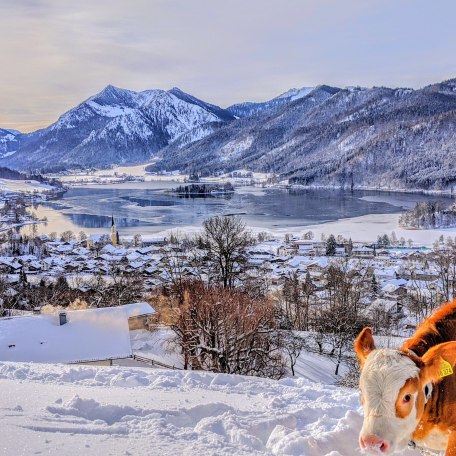 Ausblick vom Oberrißhof auf den Schliersee, © im-web.de/ Gäste-Information Schliersee in der vitalwelt schliersee